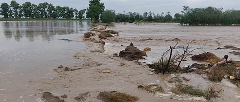 Heavy Rain Damage