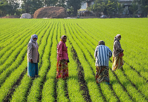 Natural Farming In HImachal