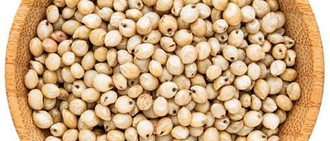 Approval for purchase of sorghum at base price