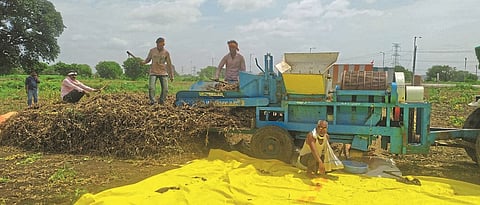 Crop Advisory