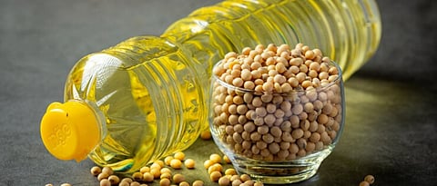 Soybean