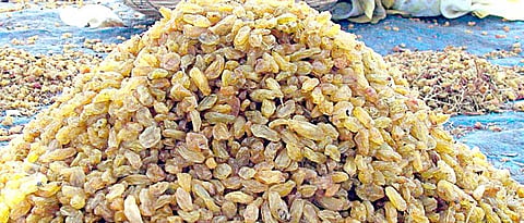 Bedana Subsidy