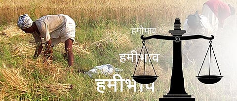 रब्बीकरिताचे हमीभाव जाहीर