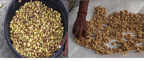 प्राथमिक पीक संरक्षणासाठी निंबोळी अर्क