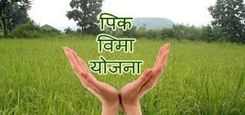 Crop Insurance