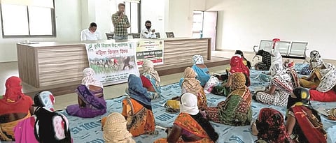 Vaccination and deworming are important in goat rearing: Nerkar
