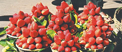 Strawberries