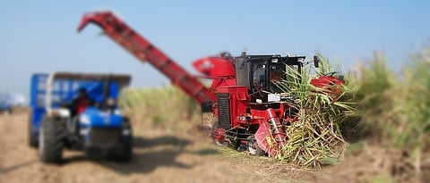 Sugarcane harvesting