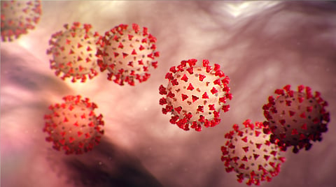 coronavirus