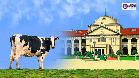 Allahabad High Court, Cow
