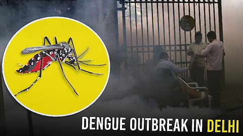 dengue outbreak in delhi