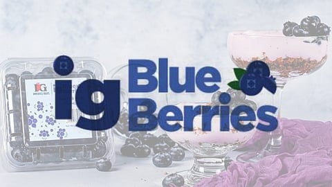 IG Blue Berries