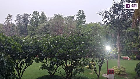 Trees
