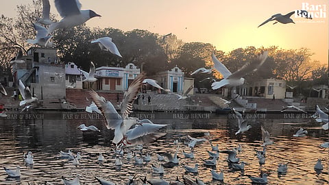Yamuna river