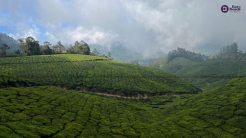 Hill Station - Munnar