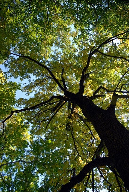 Court exclusively for environmental matters to be set up