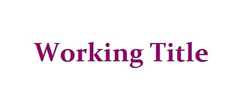 Working Title The Lawyer and the Hotelier