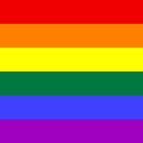 The Supreme Court’s 377 Decision: Anti-minority Subjectivity and Unintelligible Conclusions