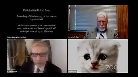 Lawyer accidentally appears with cat filter before 394th Judicial District of Texas.