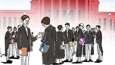 Lawyers