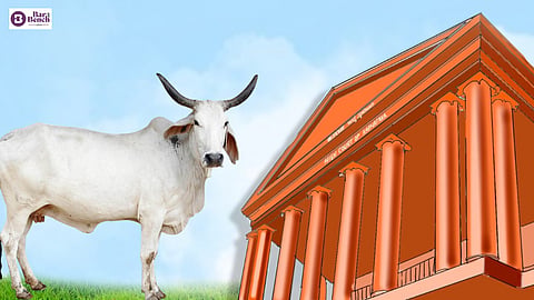 Cow and Karnataka HC