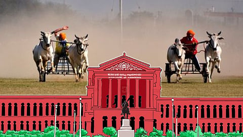 Karnataka HC and Bullock cart race