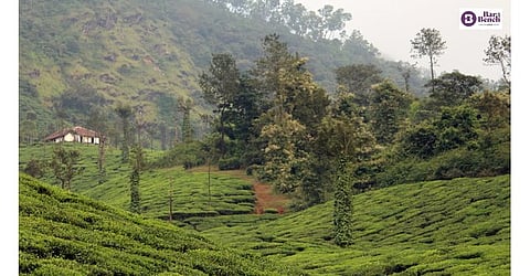 Nilgiri range, Tamil Nadu