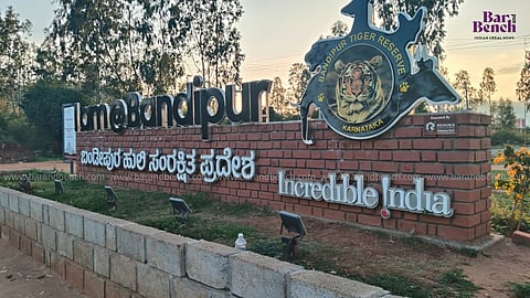 ಬಂಡೀಪುರ, ನಾಗರಹೊಳೆಯಲ್ಲಿ ಸಫಾರಿಗೆ ನಿಷೇಧ ಹೇರಲು ಹೈಕೋರ್ಟ್ ನಕಾರ; ಅಫಿಡವಿಟ್ ಸಲ್ಲಿಸಲು ಸರ್ಕಾರಕ್ಕೆ ನಿರ್ದೇಶನ