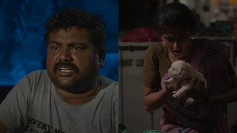Dhonima trailer: The story of a poor family and a canine family member named after a cricketer