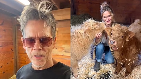 Kevin Bacon gifts calves for his better half Kyra Sedgwick on her 60th birthday