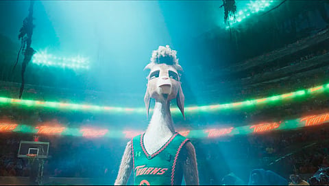 Goat trailer: An enthusiastic yet unlikely rookie looks to change the face of a sport
