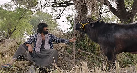 Maremma trailer is intense and promising for debutant Madhav