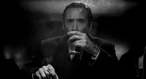 Nicolas Cage’s Spider-Noir axed after one season despite 11 Emmy nominations