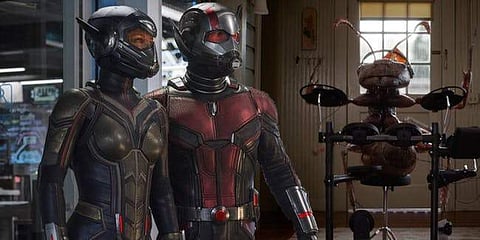 Ant-Man and the Wasp Review: MCU's loose ends tied in this fun film
