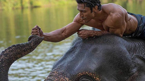 Elephants ruled the sets of Junglee: Vidyut Jammwal