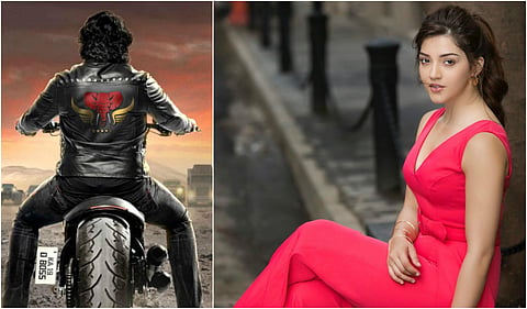 Will Mehreen Pirzada be the heroine in Darshan-starrer Roberrt?