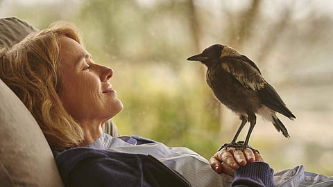 Penguin Bloom Movie Review: An uplifting film about hope and understanding