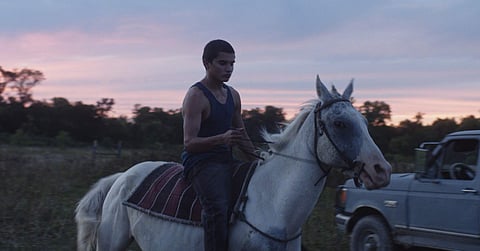 Biweekly Binge: Films on and as movement