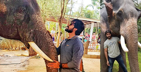 Location Diaries: Elephant in the set