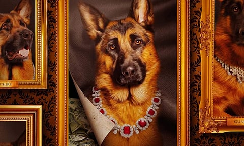 Gunther's Millions trailer out; Netflix docuseries explores life of richest dog
