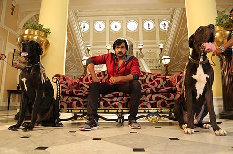 Rajamarthanda Movie Review: A fitting tribute to Chiranjeevi Sarja's devoted fanbase