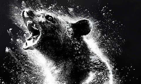 Cocaine Bear Review: The bear is on barely enough cocaine