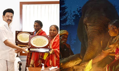 TN CM MK Stalin felicitates Bomman and Bellie featured in The Elephant Whisperers