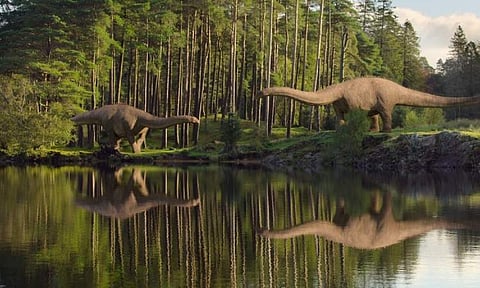 Trailer of Life on Our Planet is here
