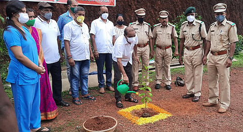 सडयेतील सातेरी देवस्थानच्या आवारात वृक्षारोपण करतांना शिवोलीचे आमदार विनोद पालयेंकर, सोबत सरपंच निलेश वायंगणकर , शिवोलीच्या सरपंच शर्मीला वेर्णेकर,डॉ. श्रुती नार्वेकर तसेच वन खात्याचे अधिकारी