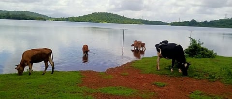 Amthane Dam