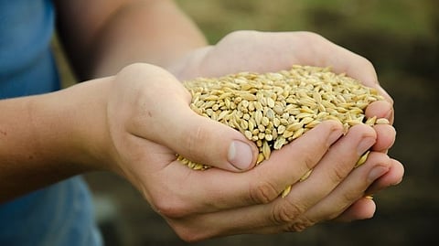Grain ATM