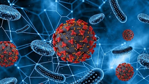 Coronavirus