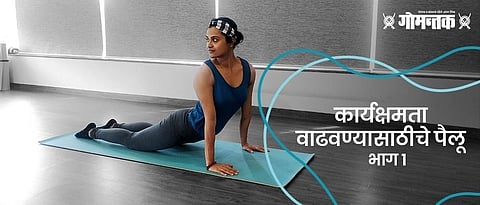 yog