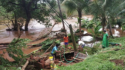 Damage to orchards in Amdai-Sange